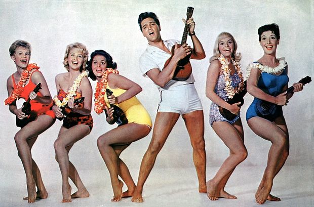 Ukulele humor image