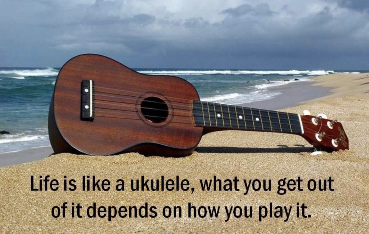 Ukulele humor image