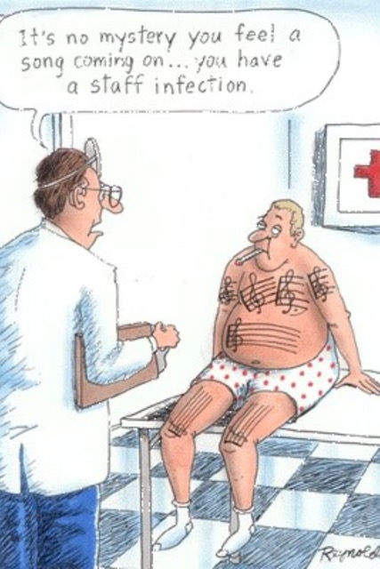 Ukulele humor image